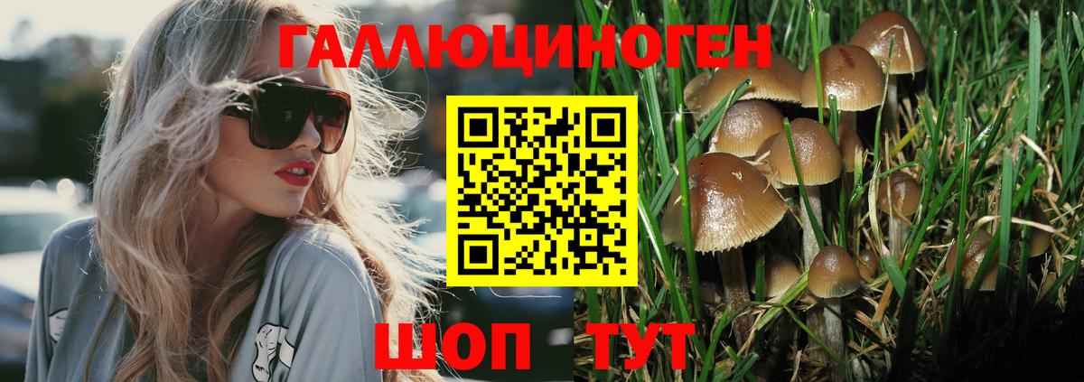 Белебей  Галлюциногенные грибы Magic Shrooms  Вход с VPN  цены   Псилоцибиновые грибы прущие грибы 